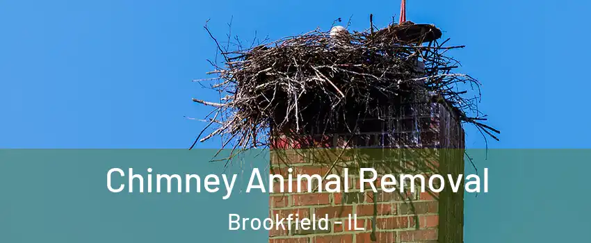  Chimney Animal Removal Brookfield - IL