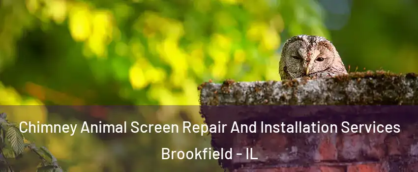  Chimney Animal Screen Repair And Installation Services Brookfield - IL