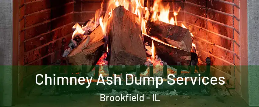  Chimney Ash Dump Services Brookfield - IL