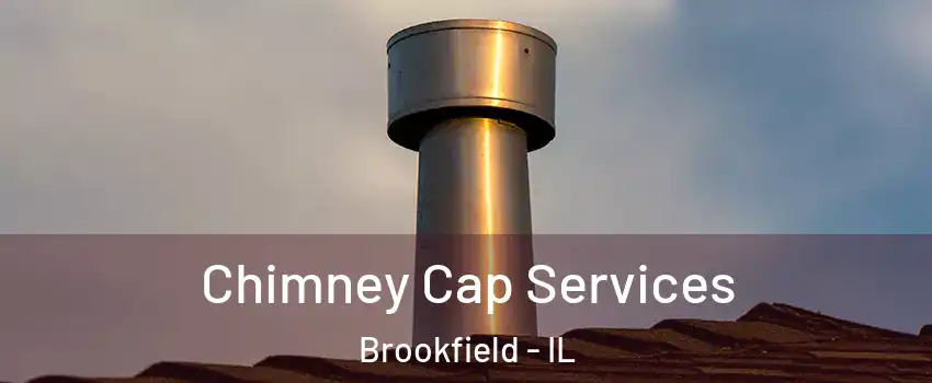  Chimney Cap Services Brookfield - IL