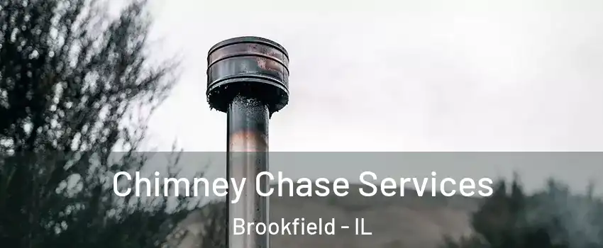  Chimney Chase Services Brookfield - IL