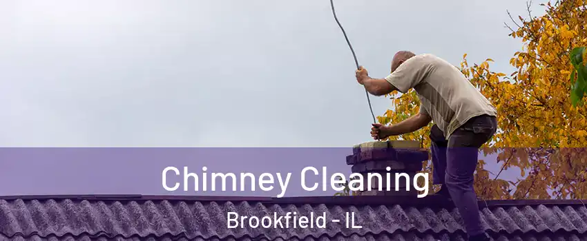  Chimney Cleaning Brookfield - IL