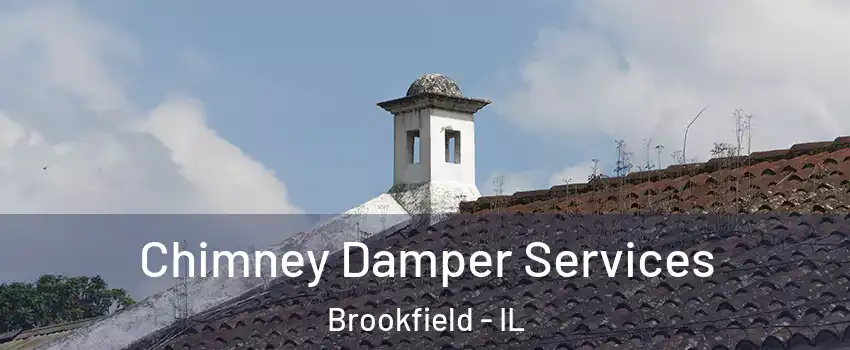  Chimney Damper Services Brookfield - IL