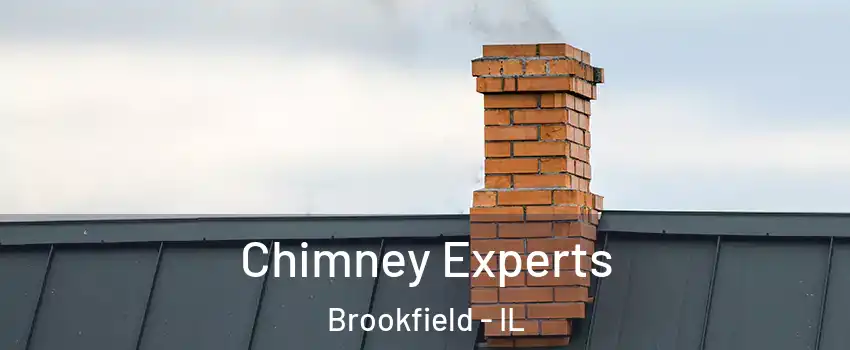  Chimney Experts Brookfield - IL