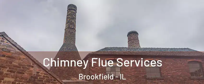  Chimney Flue Services Brookfield - IL