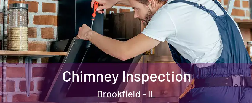  Chimney Inspection Brookfield - IL
