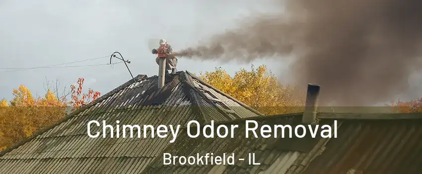  Chimney Odor Removal Brookfield - IL