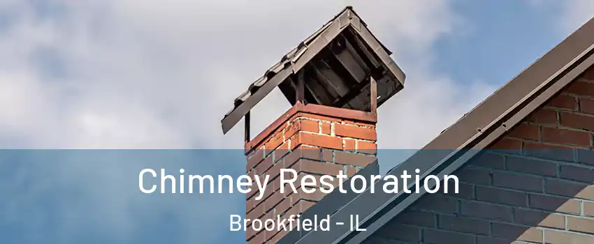  Chimney Restoration Brookfield - IL