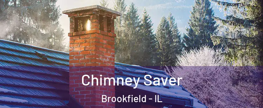  Chimney Saver Brookfield - IL
