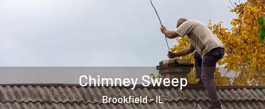  Chimney Sweep Brookfield - IL