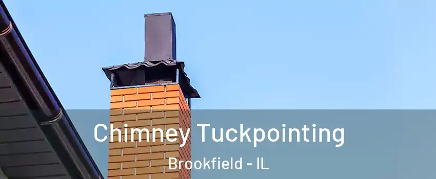  Chimney Tuckpointing Brookfield - IL