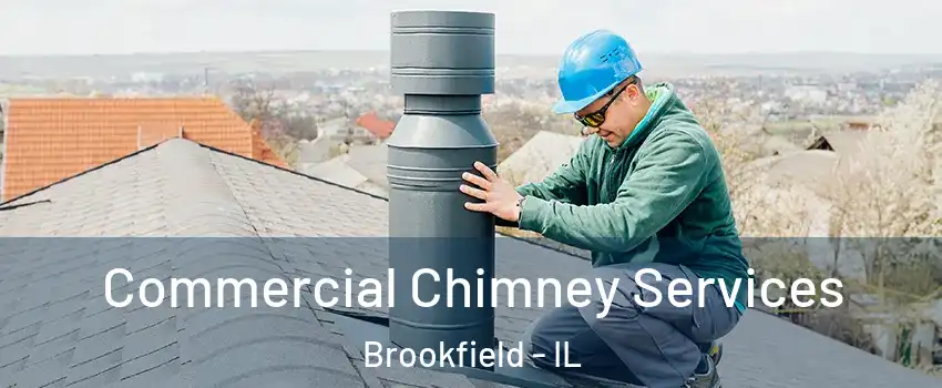  Commercial Chimney Services Brookfield - IL