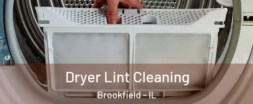  Dryer Lint Cleaning Brookfield - IL