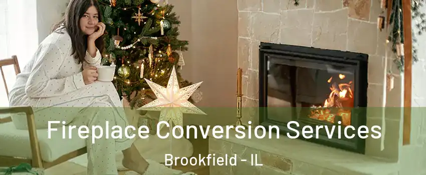  Fireplace Conversion Services Brookfield - IL