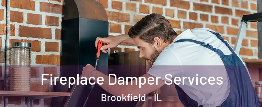  Fireplace Damper Services Brookfield - IL