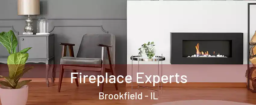  Fireplace Experts Brookfield - IL