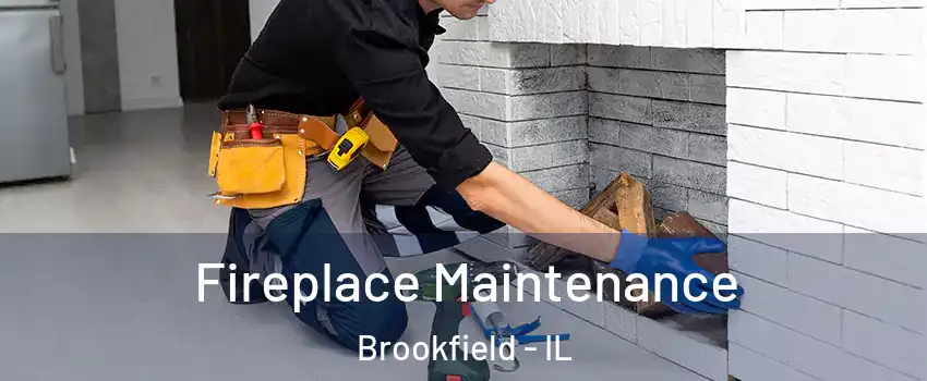  Fireplace Maintenance Brookfield - IL