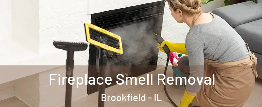  Fireplace Smell Removal Brookfield - IL