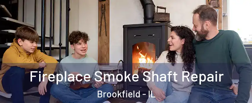  Fireplace Smoke Shaft Repair Brookfield - IL