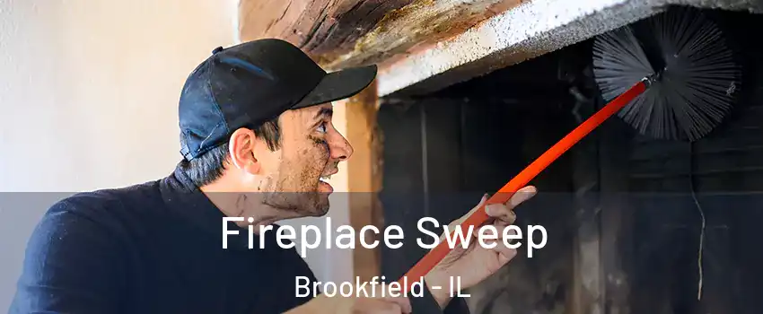 Fireplace Sweep Brookfield - IL