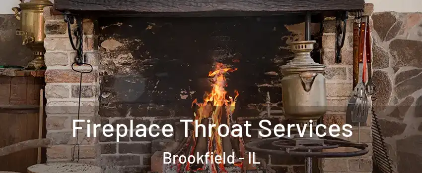  Fireplace Throat Services Brookfield - IL