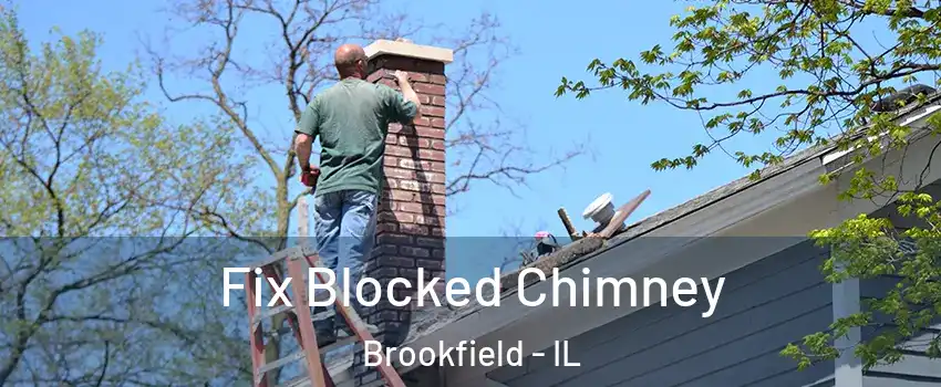  Fix Blocked Chimney Brookfield - IL