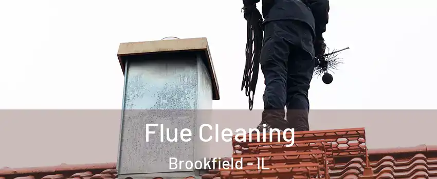  Flue Cleaning Brookfield - IL