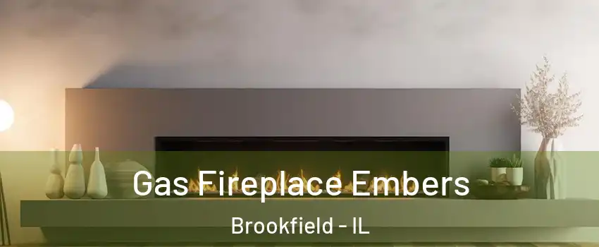  Gas Fireplace Embers Brookfield - IL