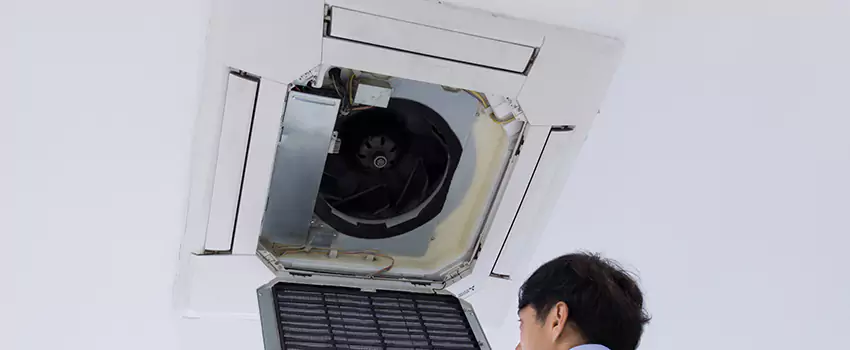Benefits of Professional Air Duct Cleaning in Brookfield, Illinois