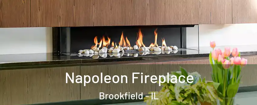  Napoleon Fireplace Brookfield - IL